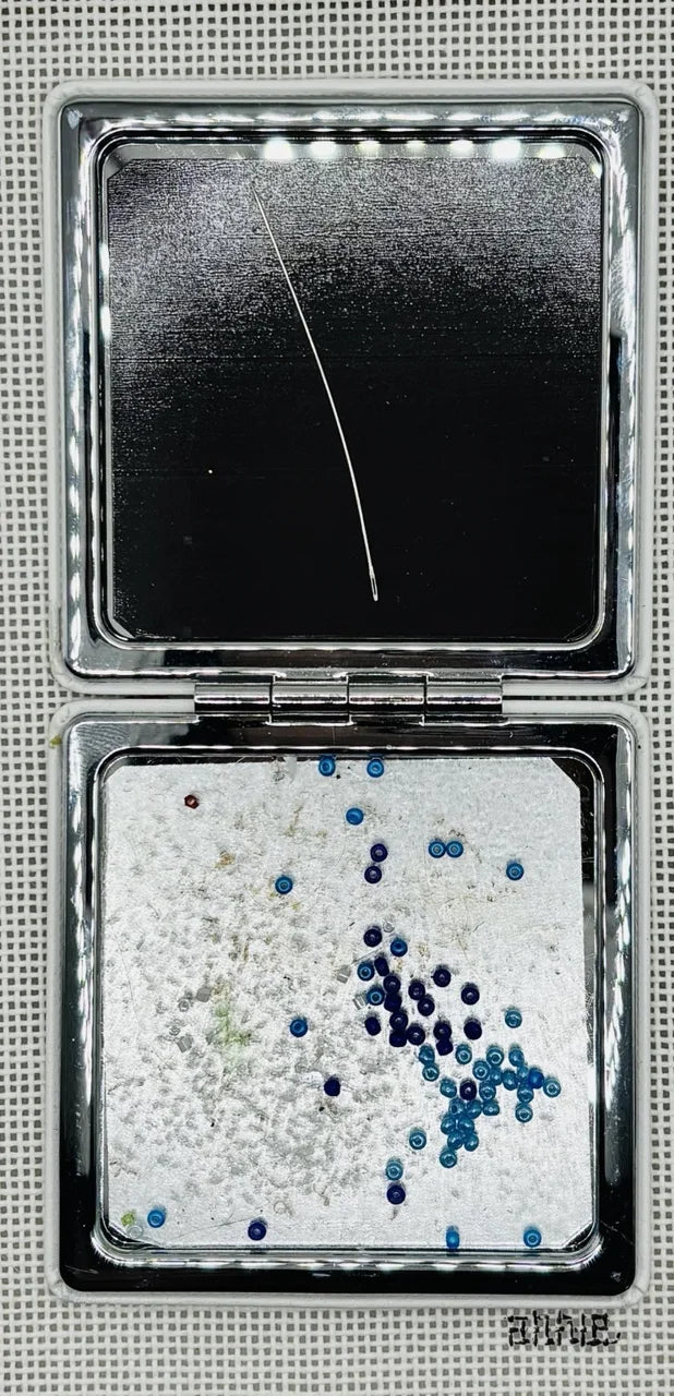Closer view of the open bead case and blue beads